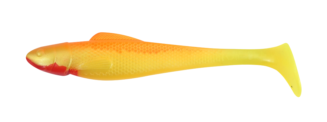 OHIO 4 STANDARD