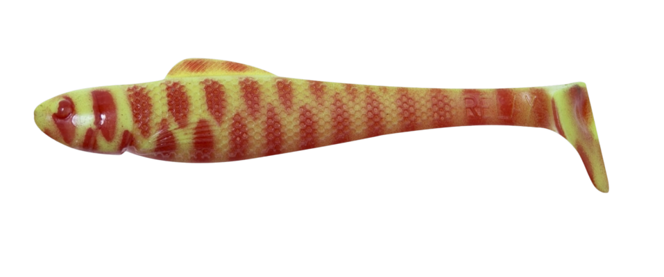 OHIO 4 TIGER STRIPES