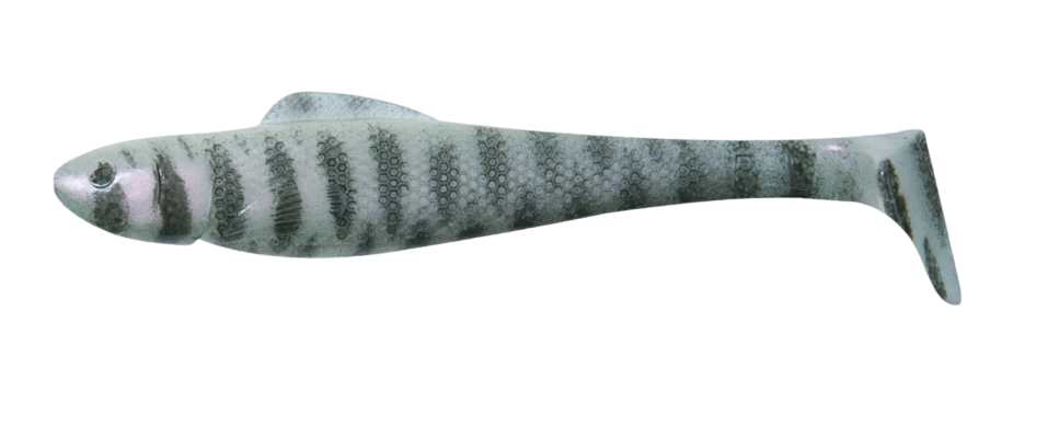 OHIO 4 TIGER STRIPES