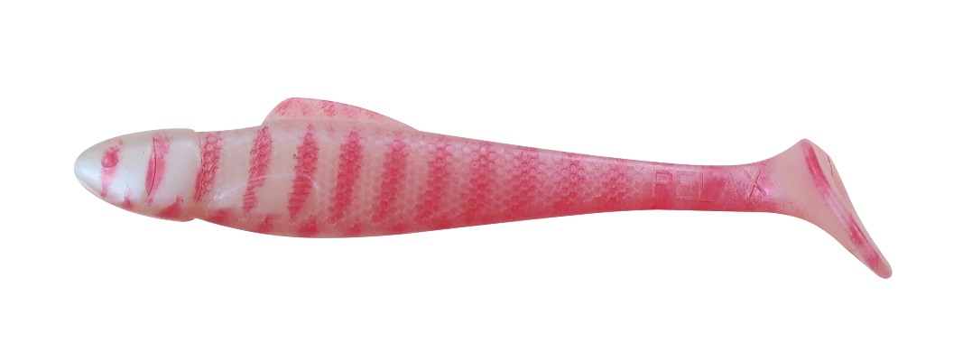 OHIO 4 TIGER STRIPES