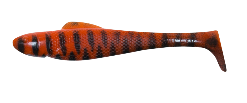 OHIO 4 TIGER STRIPES