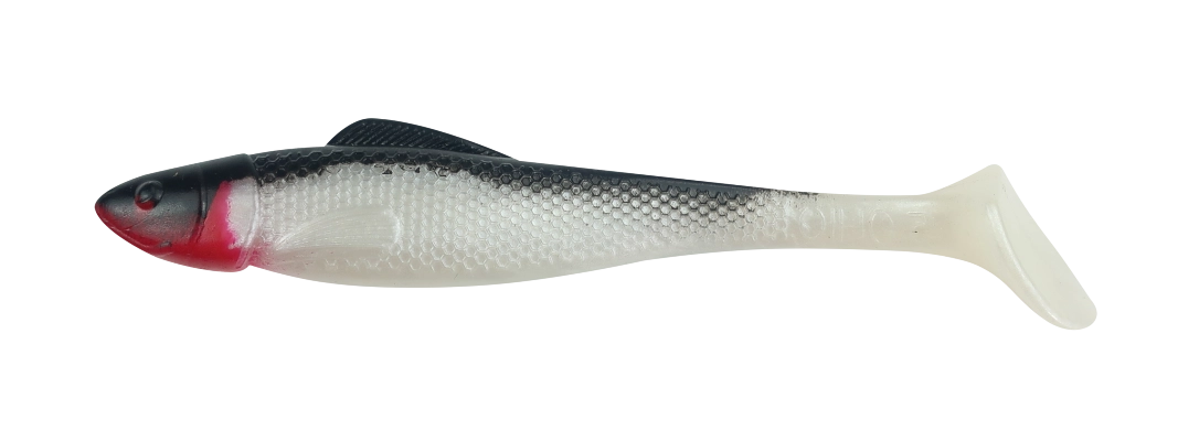 OHIO 5 STANDARD