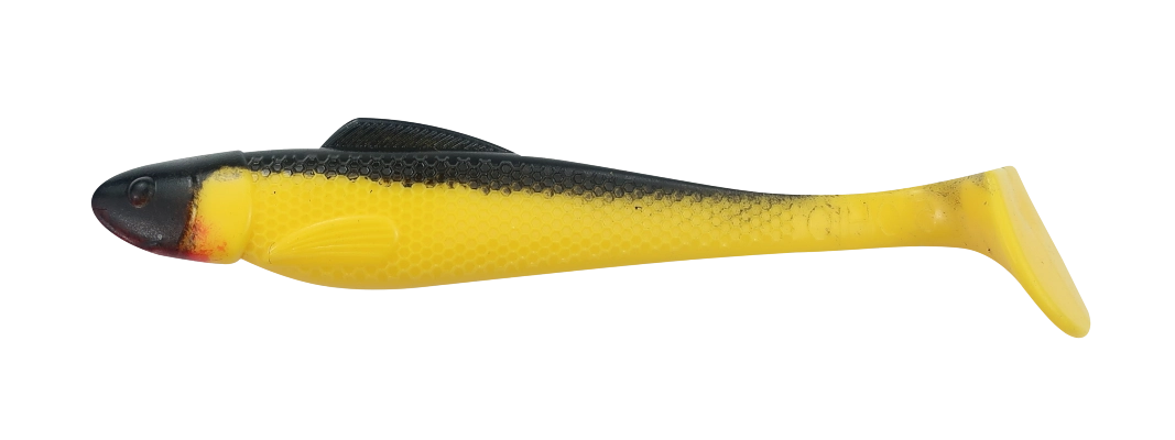 OHIO 5 STANDARD