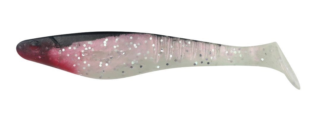 SHARK 4 STANDARD
