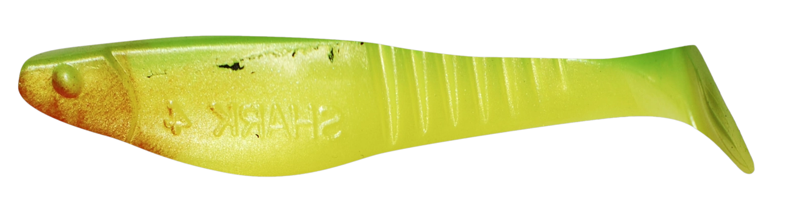SHARK 4 STANDARD