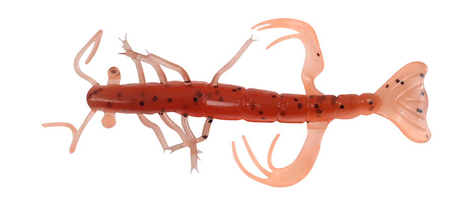 SHRIMP 3 LAMINATED