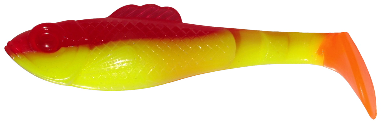 SUPERFISH SHAD 3 TRICOLOR