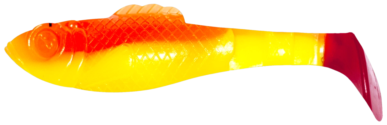 SUPERFISH SHAD 3 TRICOLOR