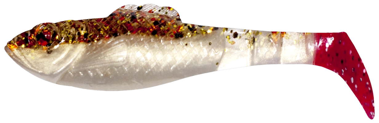 SUPERFISH SHAD 3 TRICOLOR