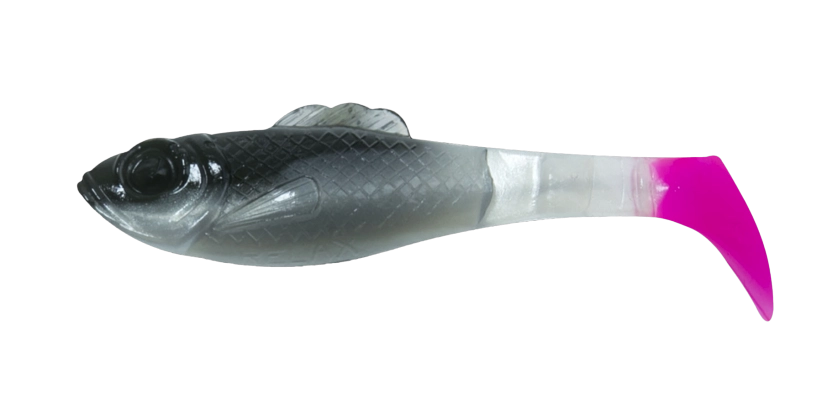 SUPERFISH SHAD 3 TRICOLOR