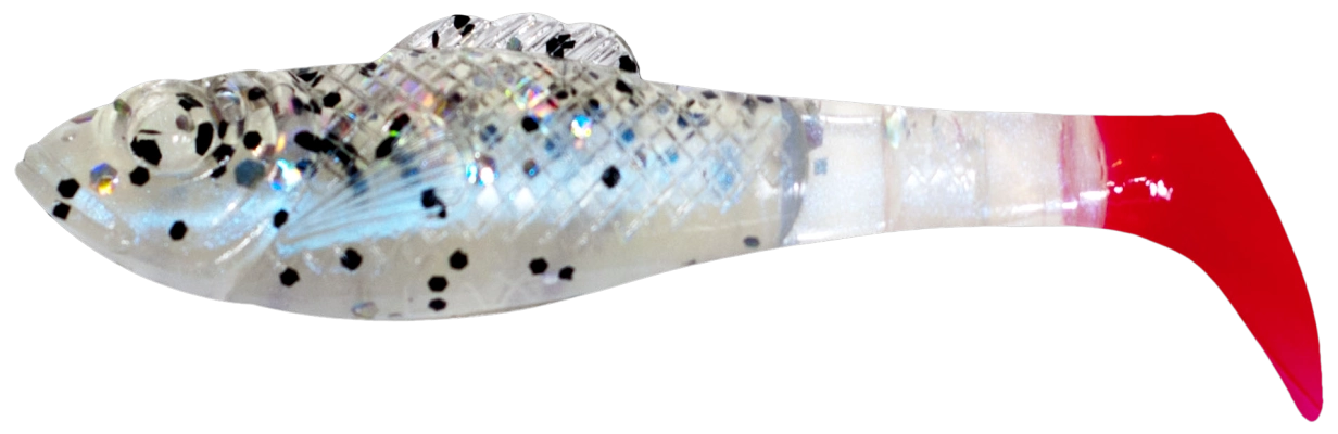 SUPERFISH SHAD 3 TRICOLOR