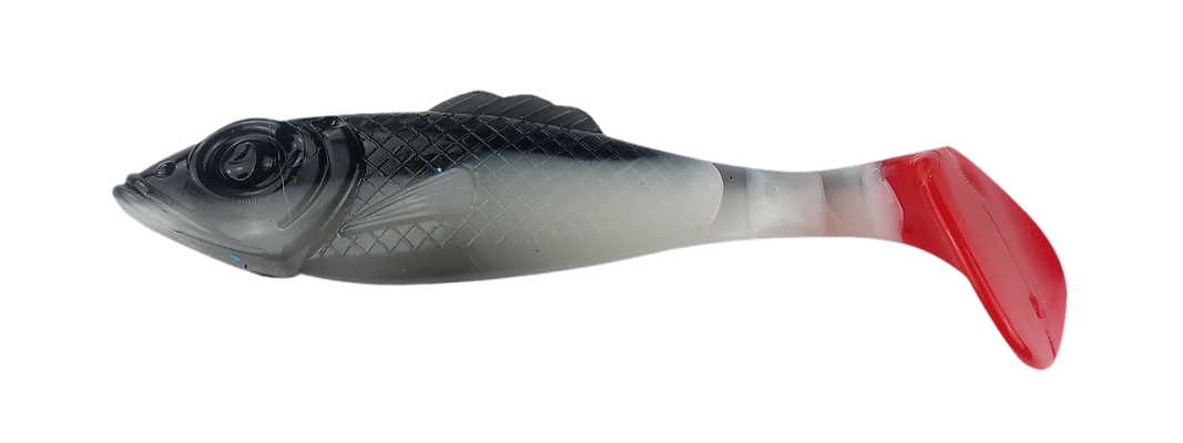 SUPERFISH SHAD 4 TRICOLOR