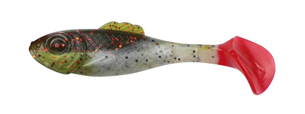 SUPERFISH SHAD 4 TRICOLOR