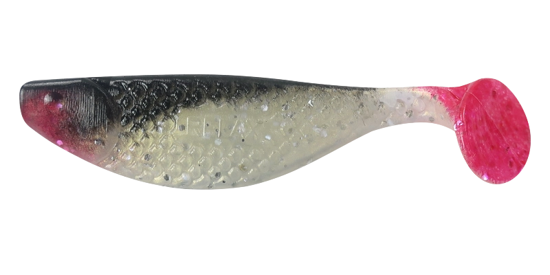 AQUA 3 RED TAIL