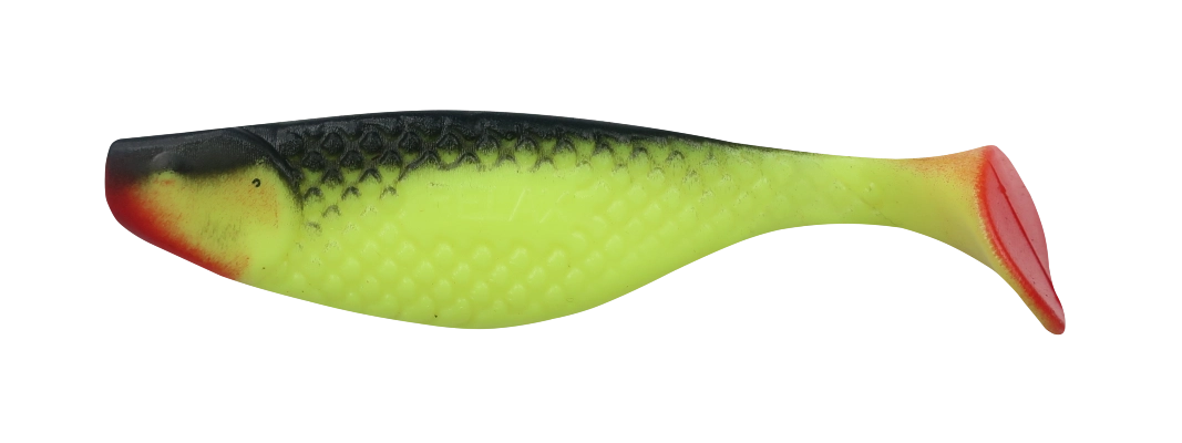 AQUA 4 RED TAIL
