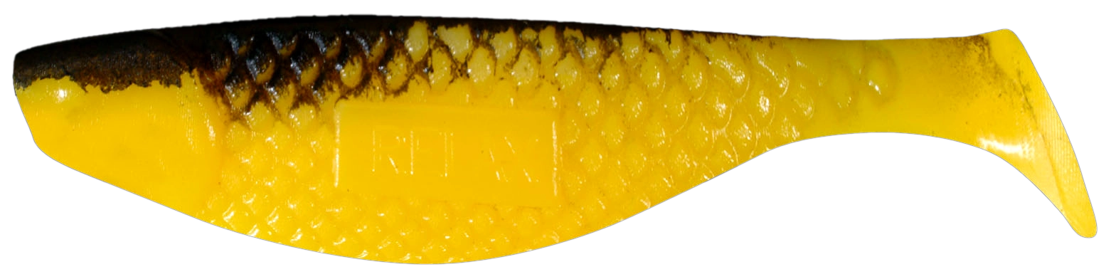 AQUA 4 STANDARD