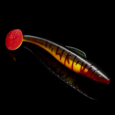 OHIO 7 TIGER STRIPES RED WK ORANGE BELLY ORANGE TAIL RED THROAT BLISTER