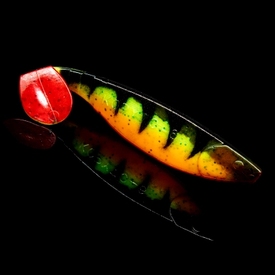 KOPYTO 6 TIGER STRIPES ORANGE BELLY RED TAIL RED THROAT BLISTER