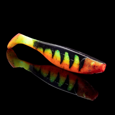 KOPYTO 5 TIGER STRIPES ORANGE BELLY RED TAIL RED THROAT BLISTER