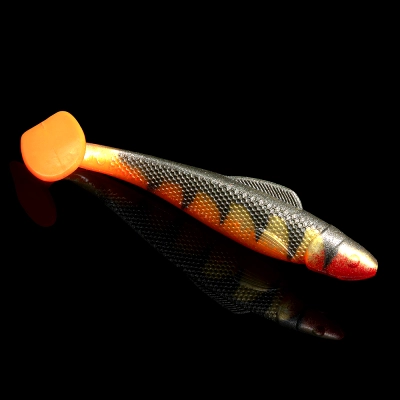 OHIO 4 TIGER STRIPES ORANGE BELLY ORANGE TAIL RED THROAT BLISTER