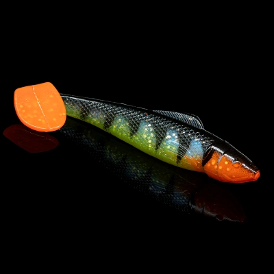 OHIO 4 TIGER STRIPES SILK BELLY ORANGE TAIL ORANGE THROAT BLISTER