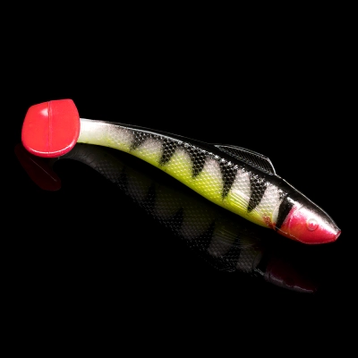 OHIO 4 TIGER STRIPES SILK BELLY RED TAIL RED THROAT BLISTER