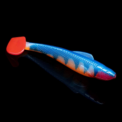 OHIO 4 TIGER STRIPES ORANGE BELLY RED TAIL RED THROAT BLISTER