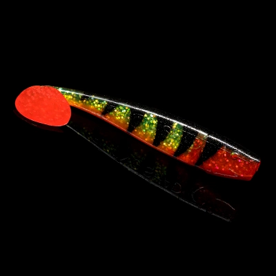 KINGSHAD 5 TIGER STRIPES ORANGE BELLY RED TAIL RED THROAT BLISTER