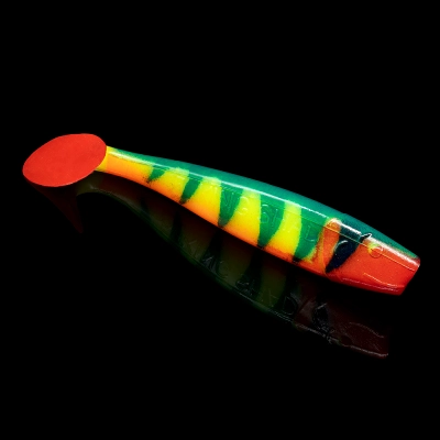 KINGSHAD 5 TIGER STRIPES ORANGE BELLY RED TAIL RED THROAT BLISTER