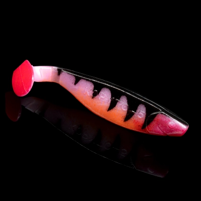 KOPYTO 5 TIGER STRIPES ORANGE BELLY RED TAIL RED THROAT BLISTER