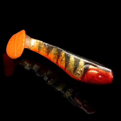 KOPYTO 3 TIGER STRIPES ORANGE BELLY RED TAIL RED THROAT BLISTER