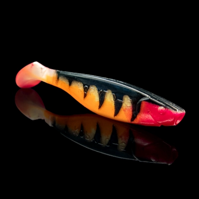 KOPYTO 5 TIGER STRIPES ORANGE BELLY RED TAIL RED THROAT