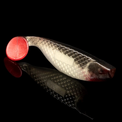 AQUA 4 RED TAIL
