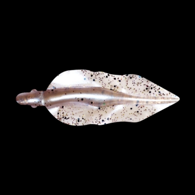 WINGSHAD 3 LAMINATED