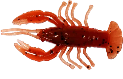 CRAWFISH 2 LAMINATED