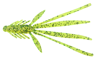 NYMPH 5 STANDARD