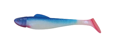 OHIO 2,5 RED TAIL