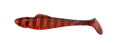 OHIO 2,5 TIGER STRIPES