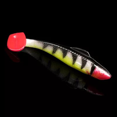 OHIO 4 TIGER STRIPES SILK BELLY RED TAIL RED THROAT BLISTER